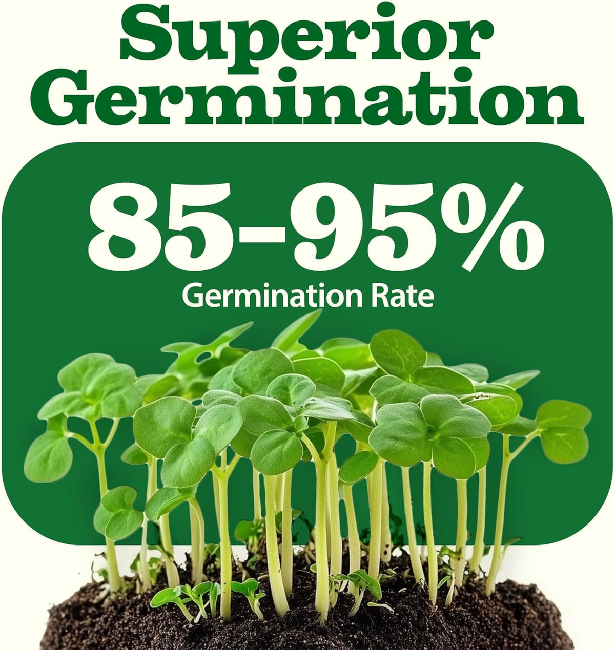 HOME GROWN π¨π¦π π£π₯ππ ππ¨π 55 Vegetable Seeds Pack 28,000+ Non-GMO Heirloom Seeds for Planting, Spring Fall Winter Garden Kit, Survival Seed Vault for Preppers & Gardeners, Gift for Men & Women