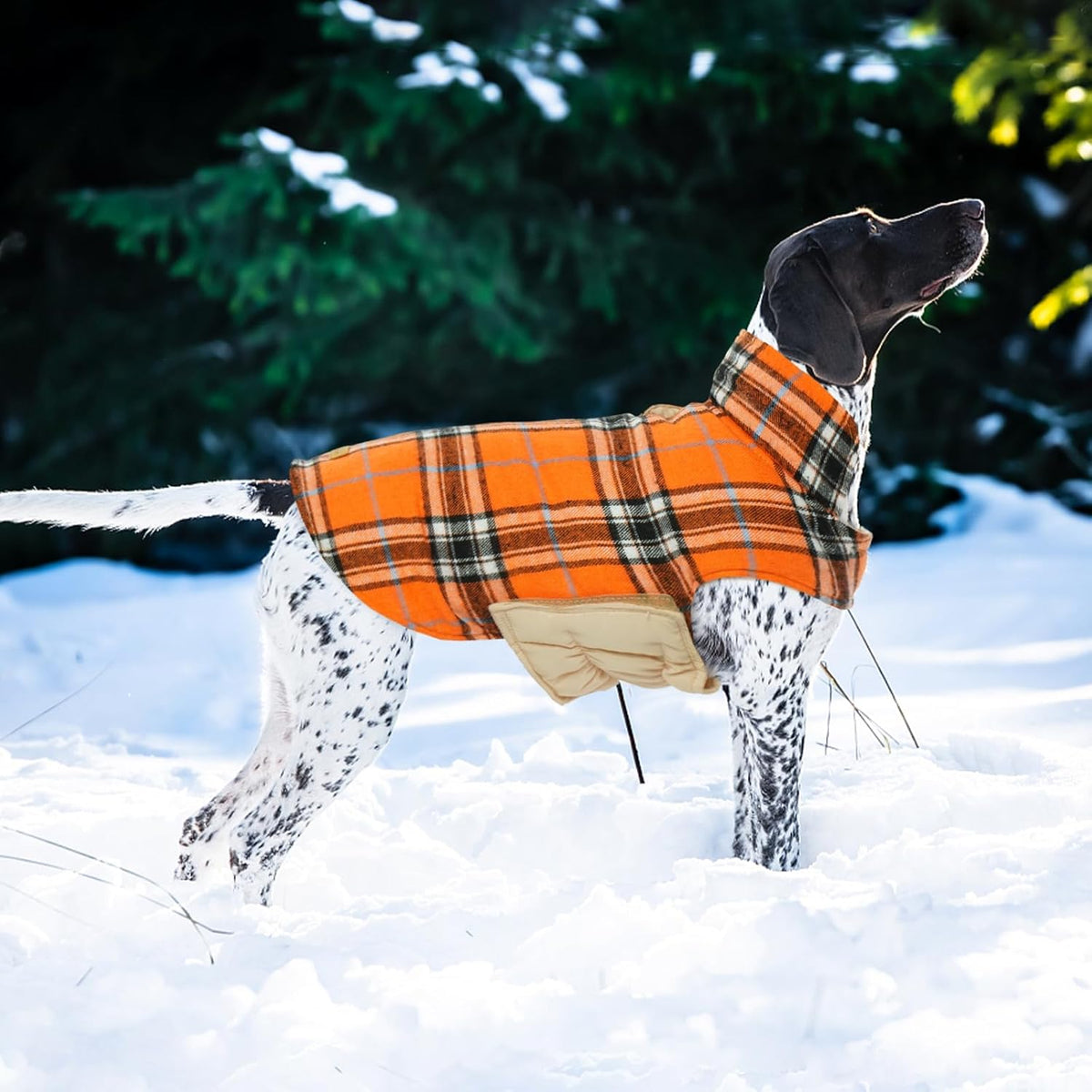 Kuoser Warm Dog Coat, Waterproof Dog Jacket for Extra Large Dogs, Adjustable Durable XL Doggie Winter Coat Reversible Cozy Puppy Cold Weather Apparel from Small to Large Breed, Orange XL