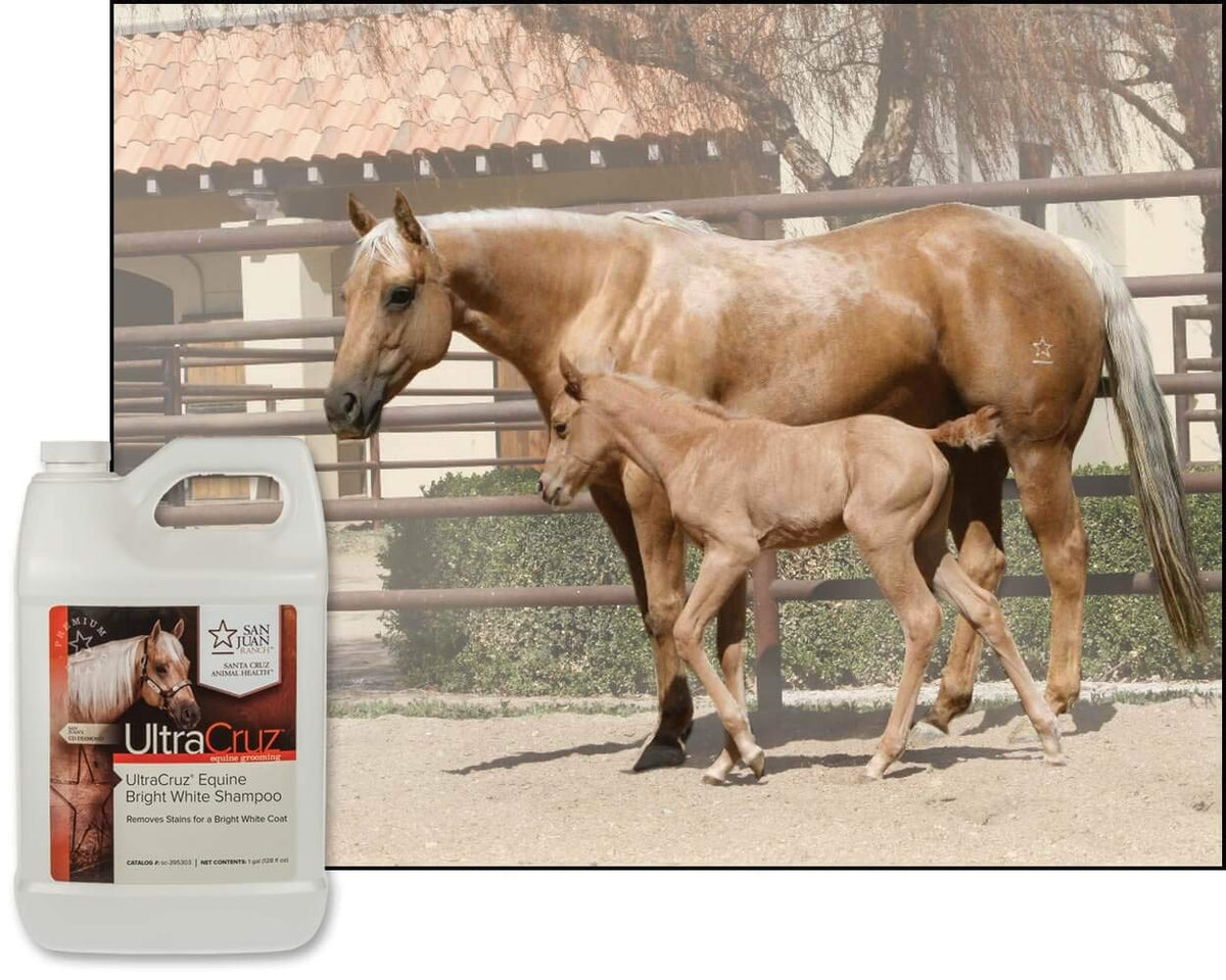 UltraCruz® Equine Bright White Shampoo, 1 Gallon