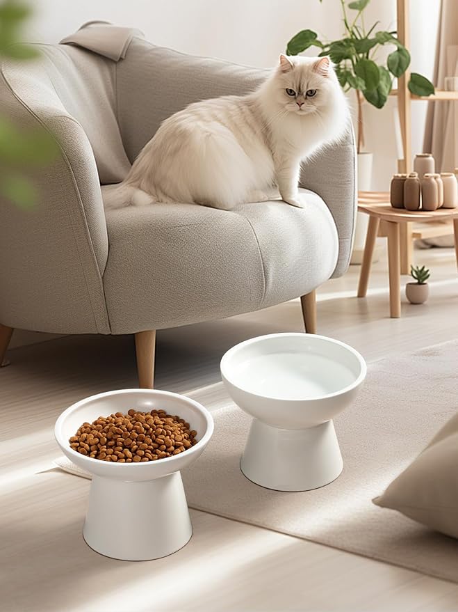 LoeJan Elevated Cat Food and Water Bowls Set, Extra Wide and Raised Ceramic Bowls, Anti-Vomit Whisker-Free Pressure Cat Feeder for Kittens to Adult Cats and Small Dogs (White, Water Bowl)