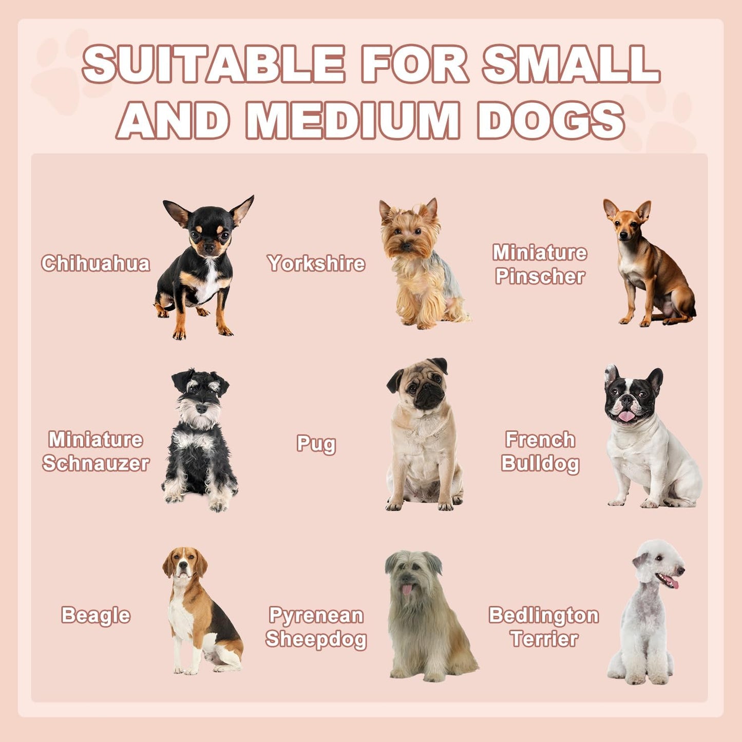 LEMBERI Outdoor Rattan Dog House with Canopy, Indoor Dog Bed for Small/Medium Dogs with Removable Cushion, Washable Cover, Dog Shelter for Patio, Deck, Yard, Pool, Gray
