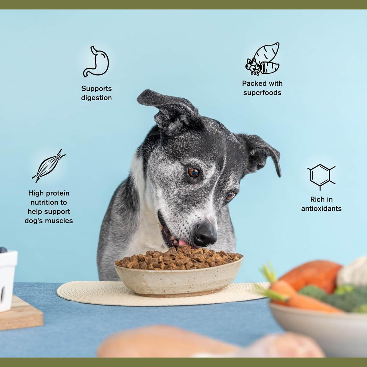 BADLANDS RANCH - Superfood Complete, Adult Dog Food, Air-Dried, High Protein, Zero Fillers, Superfood Nutrition by Katherine Heigl (24 oz., Beef Formula)