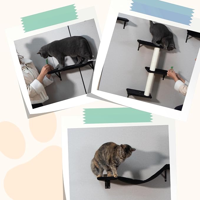 5 Pcs Wall-Mounted Climber Set, Wood Indoor with Shelves and Perches, Ladder, Condo House, Scratching Board and Tree, Wall Shelves Furniture for Cats (Black)