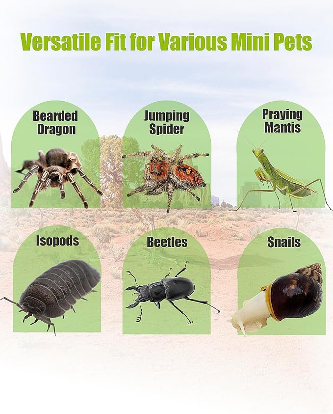 Jumping Spider Enclosure, Transparent Arboreal Tarantula Habitat, Praying Mantis Terrarium Critter Cage for Jumping Spider, Tarantula Slings, Mantis, Snail, Isopods, Beetles, Millipedes