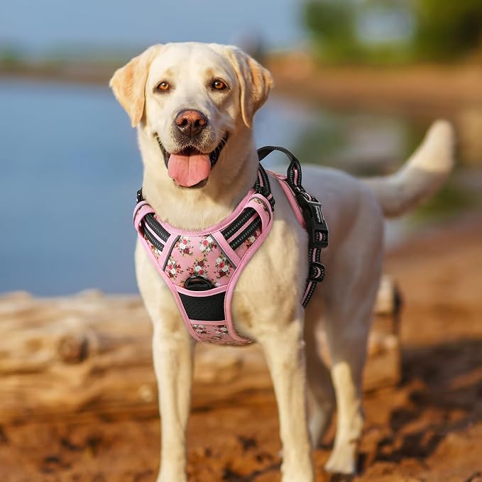 rabbitgoo Dog Harness, No Pull Medium Sized with 2 Leash Clips, Pet Vest | No Choke with Handle, Adjustable Soft Padded, Reflective, Easy Control for Walking, Pink Rose, Medium
