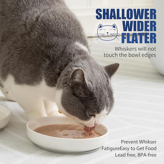 Lusifaco Shallow Cat Food Bowls, 5.9 Inch Wide Ceramic Cat Dish for Indoor Cat,Anti Whisker Fatigue Cat Dishes Set, Kitten Plates for Food and Water,Non-Slip Silicone Mat,3 Pack(Pink)