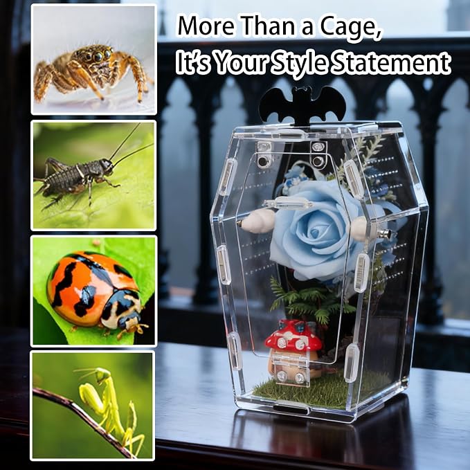 Acrylic Spider Enclosure Coffin House with Magnetic Lock | Coffin-Shaped House, Magnetic Lock & Feeding Port, No Tools Assembly, Jumping Spider Habitat, Easy Clean