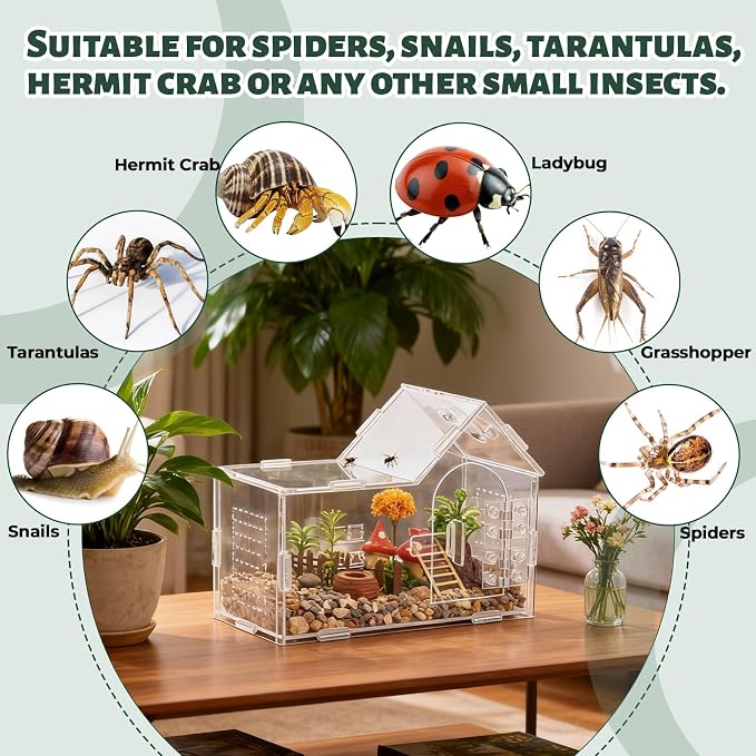 Jumping Spider Enclosure Small Acrylic Spider Cage Insect Terrarium Bug Enclosure Tarantula Enclosure Reptile Terrarium for Snail, Mantis, Lizard, and Small Reptiles - Big House Shape