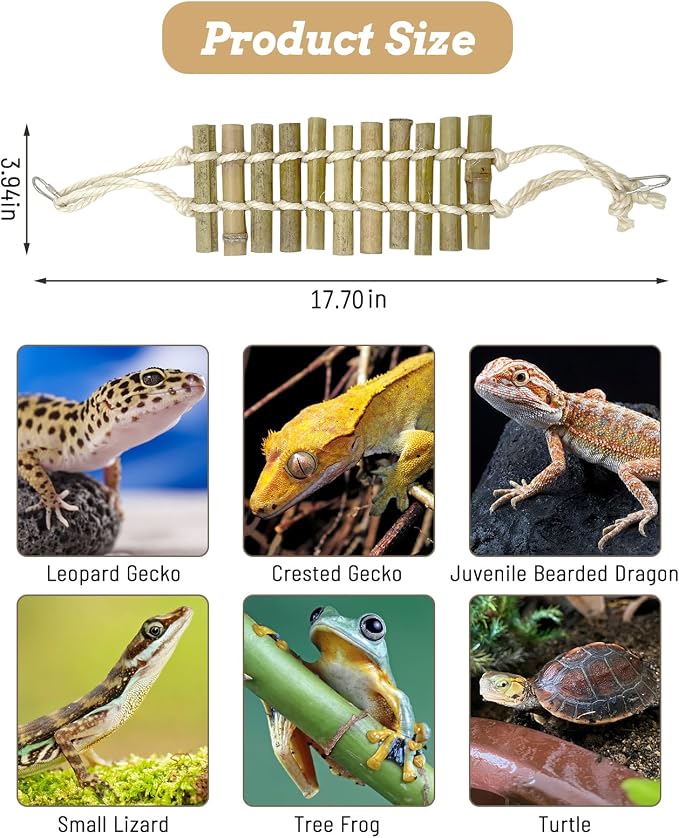 VCEPJH Reptile Bridge 2 Pack Crested Gecko Climbing Ladder Bamboo Basking Lounger Leopard Gecko Tank Accessories for Hermit Crab Juvenile Bearded Dragon Chameleon Small Lizard Tree Frog
