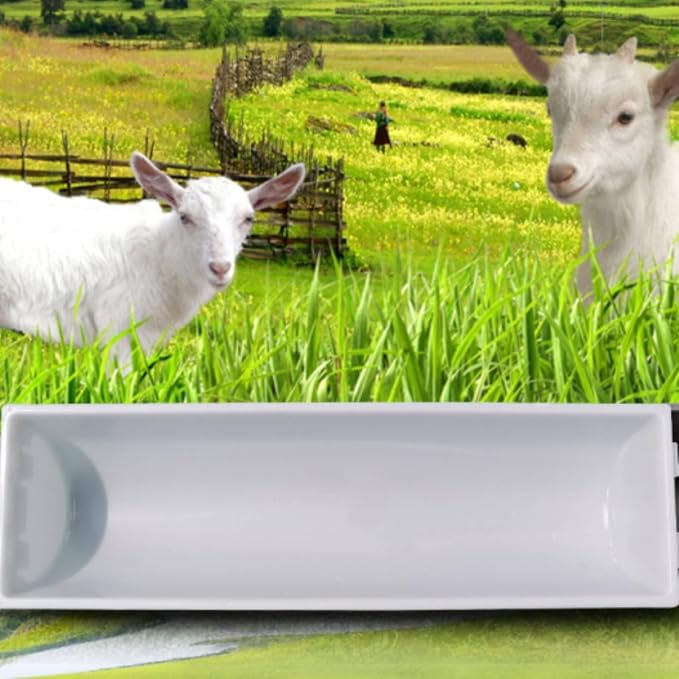 Livestock Container Feed Basin Trough Bin Heavy-Duty Engineer Plastics with Open Top for Fast Access and Low Profile Smooth Finish for Quick Wash and, White, Thickened