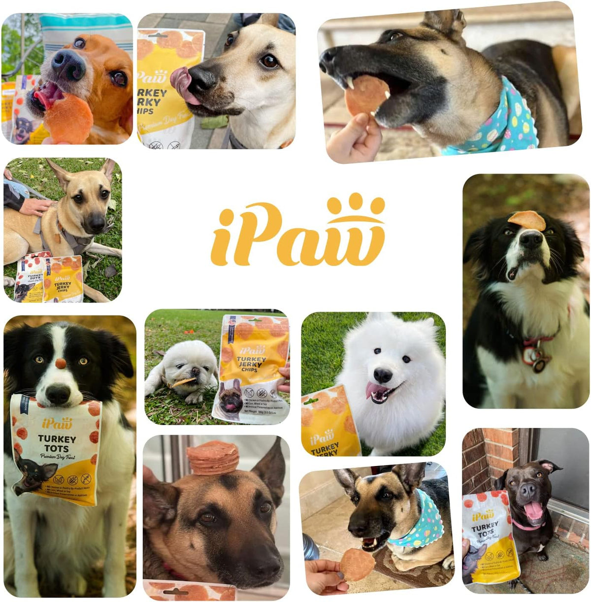 iPaw Turkey Tots Dog Treats for Puppy Training, All Natural Human Grade Dog Treat, US Sourced Raw Material, Hypoallergenic, Easy to Digest (Turkey Tots), 2 Packs