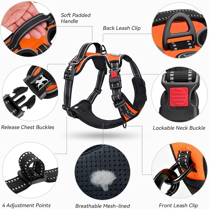 PoyPet No Pull Dog Harness Medium with Front Clip & Neck Release Buckle | No Choke, Adjustable Vest, Reflective, Back Clip, Lockable, Soft Padded, Easy Control Handle for Walking Training, M, Orange