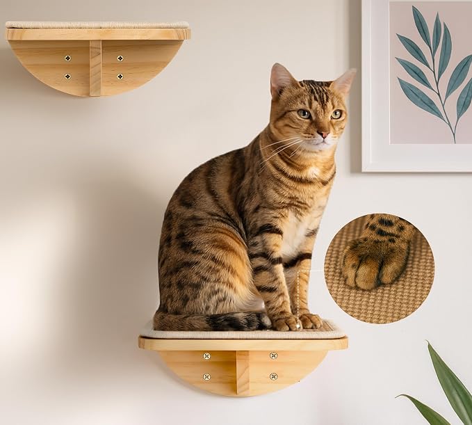 Cat Wall Shelves and Cats Window Perch – Natural Wood 4-Piece Set with Foam-Padded Curved Bed and Felt Steps, Space-Saving Wall Mounted Design