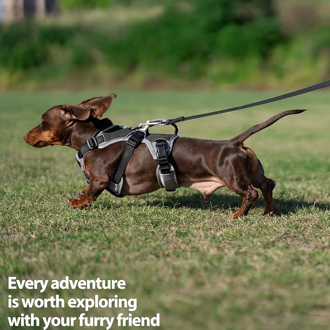 Escape Proof Dog Harness, Dachshund Harness, Reflective Dog Harness with Handle, Durable,Adjustable Vest for Small Medium Large Dogs Walking, Training, and Running Gear (Black,L)
