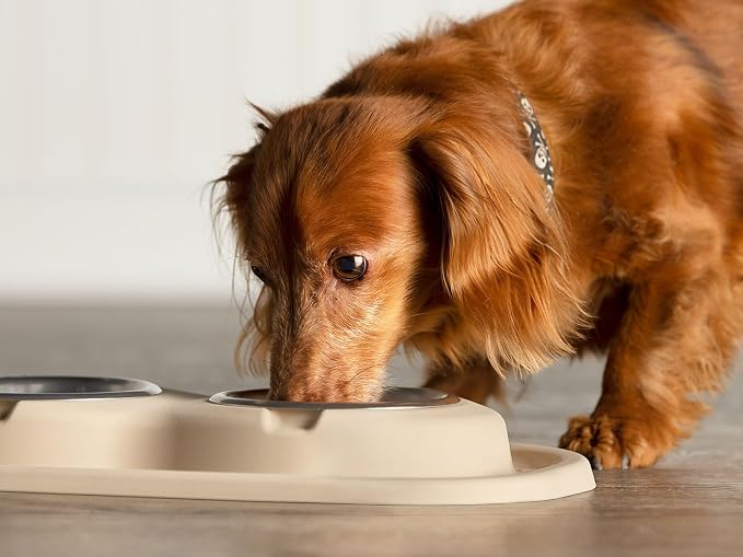 WeatherTech Double Low Pet Feeding System - Compact and Portable Dog/Cat Food and Water Station - 8 oz (1 Cup) Tan (DL0801TN)