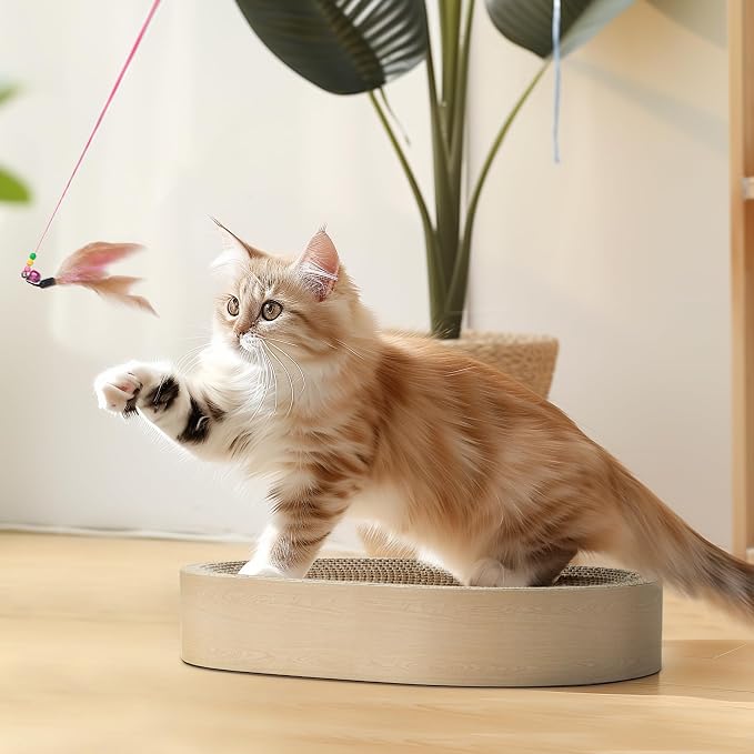 ComSaf Cat Scratcher Bed, Oval Cardboard Scratching Board for Indoor Cats | Scratch Pad Surface, Corrugated Cardboard Layers, Shallow Bowl Shape, Furniture Protection, Cat Lounger, Claw Care