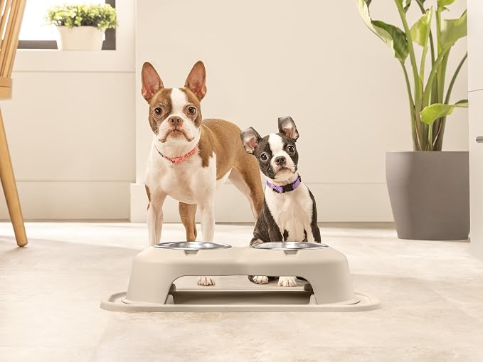 WeatherTech Double High Pet Feeding System - Elevated Dog/Cat Bowls - 8 inch High Dark Grey (DHC3208DGDG)