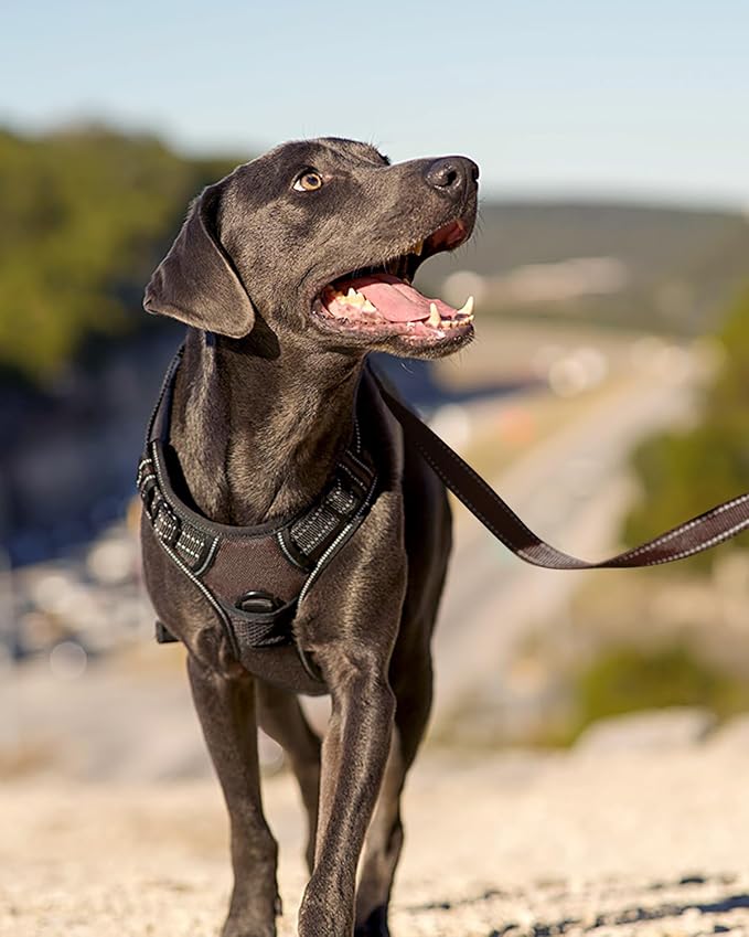 Joytale No Pull Dog Harness for Large Dogs, Front Clip, Brown | Grab Handle for Instant Control, Padded & Adjustable Vest, Sturdy Metal D-Rings, for Safe Training & Daily Walking