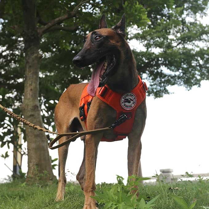ICEFANG GN3 Tactical Dog Harness with 6X Buckle,Dog Molle Vest with Handle,3/4 Body Coverage,Hook and Loop Panel for ID Patch,No Pulling Front Clip (L (28"-35" Chest), Orange) | Control Handle,MOLLE Panel,Front Hook,3 Leash Clips,Soft Padded,for Walkin...