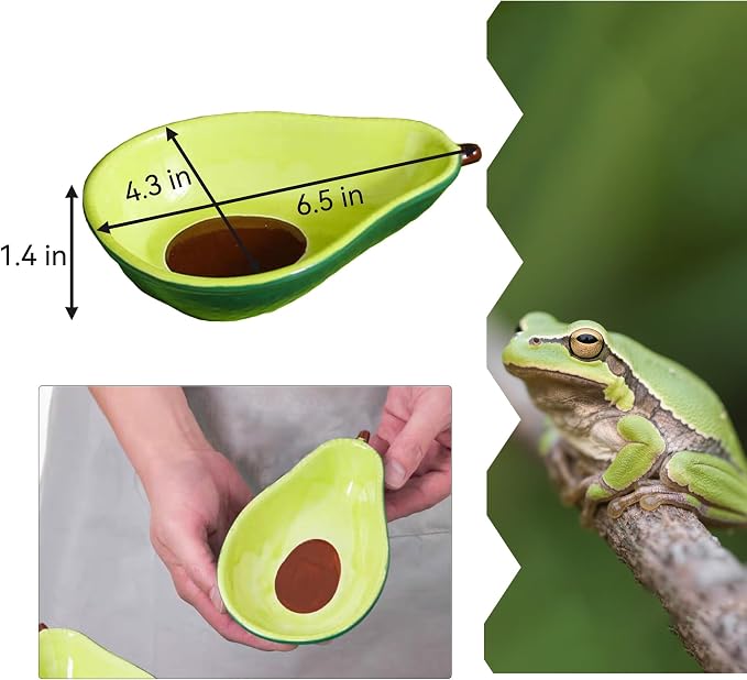 JSLZF Tree Frog Habitat Frog Water Bowl Dish Bathtub Tank Accessories Terrarium Decor Ceramic Aquarium Decoration Sturdy and Not Easy to Knock Over