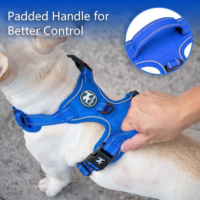 PoyPet No Pull Dog Harness, Reflective Vest with 2 Leash Clips & Handle | Lockable Neck Release Buckle, No Choke, Adjustable, Soft Padded, for Walking Training, Royal Blue, Small