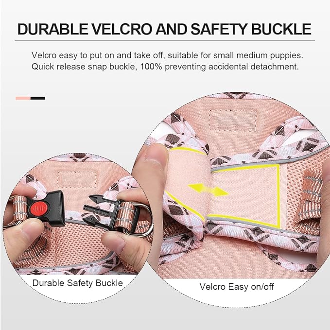 Mercano Soft Mesh Dog Harness and Leash Set, No-Chock Step-in Reflective Breathable Lightweight Easy Walk Vest Harnesses with Safety Buckle for Small Dogs, Cats (Champagne, M)
