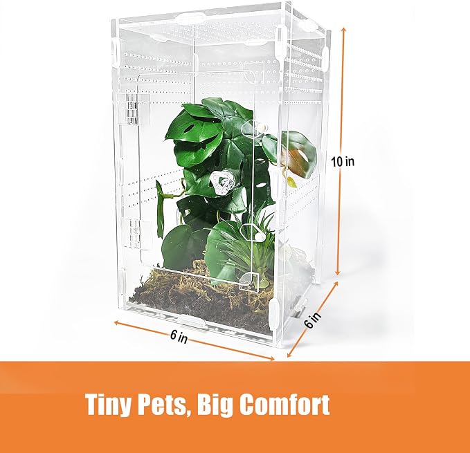 Acrylic Jumping Spider Enclosure Large 6”x6”x10” with Front Door, Arboreal Tarantula Enclosure, Praying Mantis Habitat for Spider, Mantis, Snail, Tarantula, Isopods, Beetles, Millipedes
