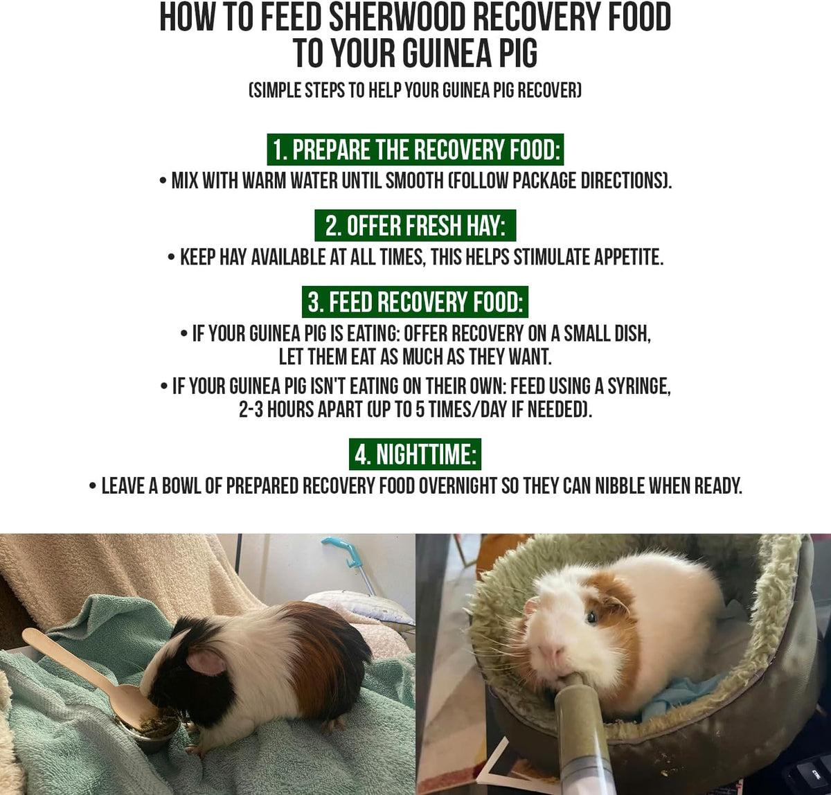 Sherwood Pet Health Guinea Pig Timothy Recovery Food (800g). Grain Free, Soy Free. Great Taste That Guinea Pigs Love with Motility Herbs.
