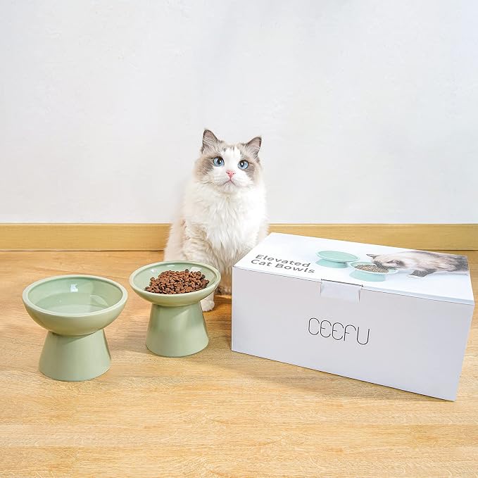CEEFU 2 Elevated Ceramic Cat Bowls Extra Wide for Food & Water – Whisker Fatigue Shallow Food Dish, Lead & Cadmium-Free, Raised Height for Cats, Sage Green