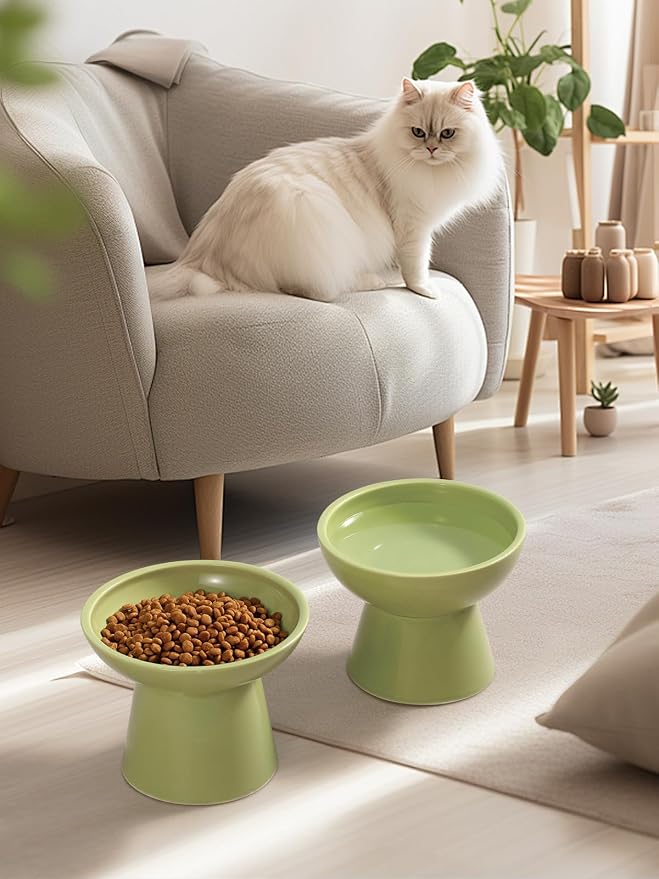 LoeJan Elevated Cat Food and Water Bowls Set, Extra Wide and Raised Ceramic Feeder, Anti-Vomit Whisker-Free Pressure Feeding Bowl for Kittens Adult Cats Small Dogs (Green, Bowl Set)