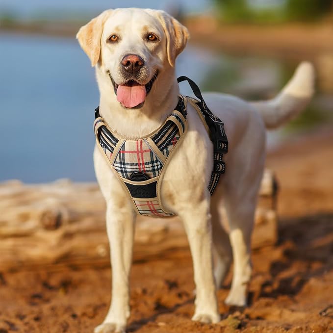 rabbitgoo Dog Harness, No Pull for Small Dogs with 2 Leash Clips, Pet Vest | No Choke with Handle, Adjustable Soft Padded, Reflective, Easy Control for Walking, Beige Plaid, Small