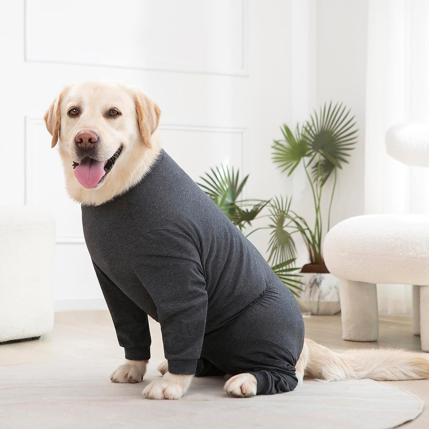Yeapeeto Dog Onesie Surgery Recovery Suit for Large Medium Bodysuit Dogs Pajamas PJS Full Body for Shedding, Prevent Licking, Wound Protection, Cone Alternative(7XL,Dark Grey)