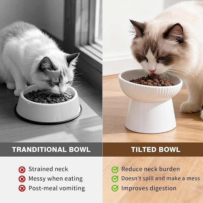 Elevated Cat Food Bowl, Ceramic Raised and Tilted Water Bowl, Whisker Fatigue Cat Bowls for Indoor Cats, Anti Vomiting and Protect Spines Pet Feeding Dishes for Kittens Small Dog, Heavy Non-Slip Base