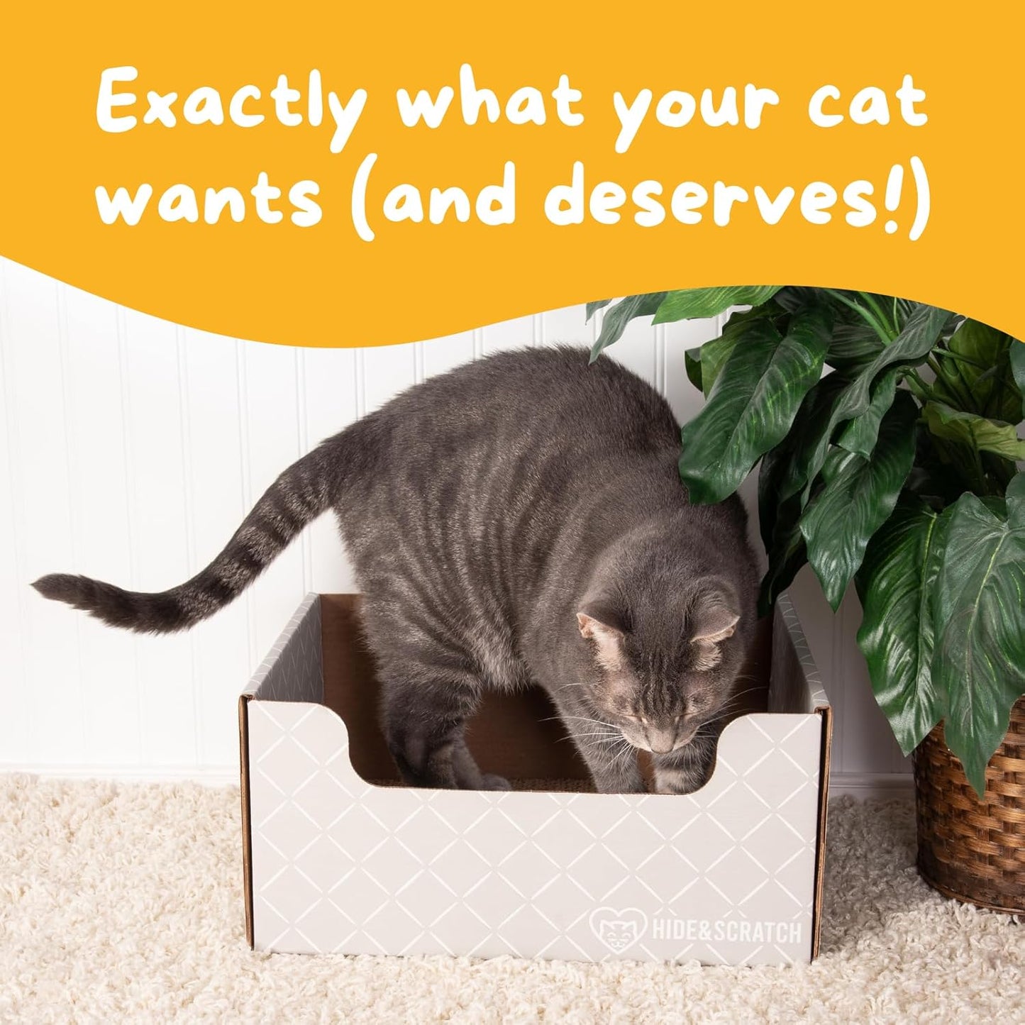 HIDE & SCRATCH Cat Scratcher Box and Cat Bed with Refillable Double-Sided Cardboard Scratch Pad for Indoor Cats