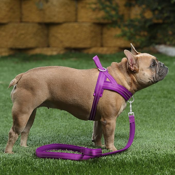 Plutus Pet No Pull Dog Harness for Puppy Small Dogs, Breathable Mesh Padded | Adjustable Reflective with Handle, Escape Proof, Quick Fit Pet Vest, Front Clip, for Training and Walking, Purple, XS