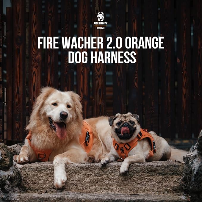 OneTigris Tactical Dog Harness Vest No-Pull Service Dog Vest for Small Dogs | 1000D Pullable Nylon, with Control Handle and Hook & Loop Panels, Easy On & Off, Adjustable for Walking Training Orange XS