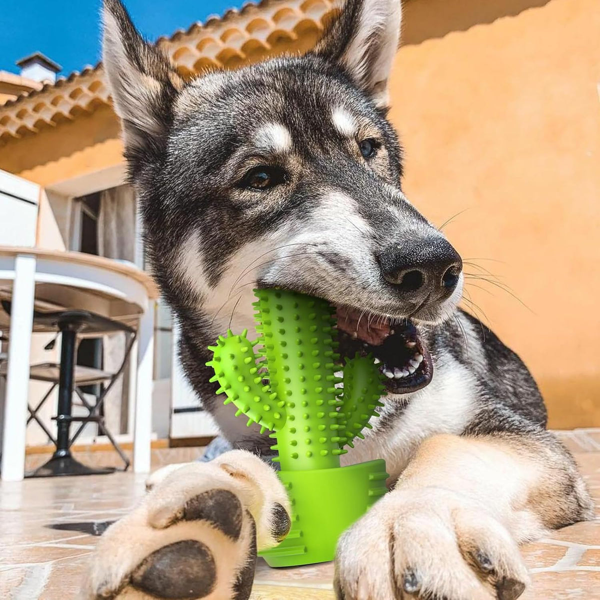 Dog Chew Toys, Toothbrush Stick Teeth Cleaning Brush Dental for Small Medium Large Dog, Rubber Squeaky Toys for Aggressive Chewers Cactus Tough Toys