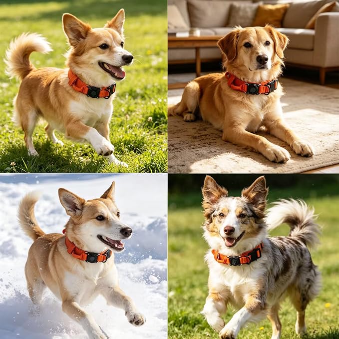 AirTag Dog Collar for Large Dogs Tactical Dog Collar with AirTag Holder | Upgrade Waterproof,Control Handle,Quick-Release Metal Buckle,1000D Nylon Fabric,Soft-Padded Webbing,Velcro Patch(Orange,M)