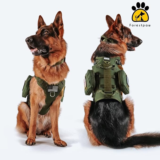 Forestpaw Tactical Dog Harness Collar Bungee Leash Set,M,Green | Adjustable Fits 22-35" Chest,30-80 lbs,No Pull Control Military Style,Quick Release Buckle,Walking Training for Medium Dogs