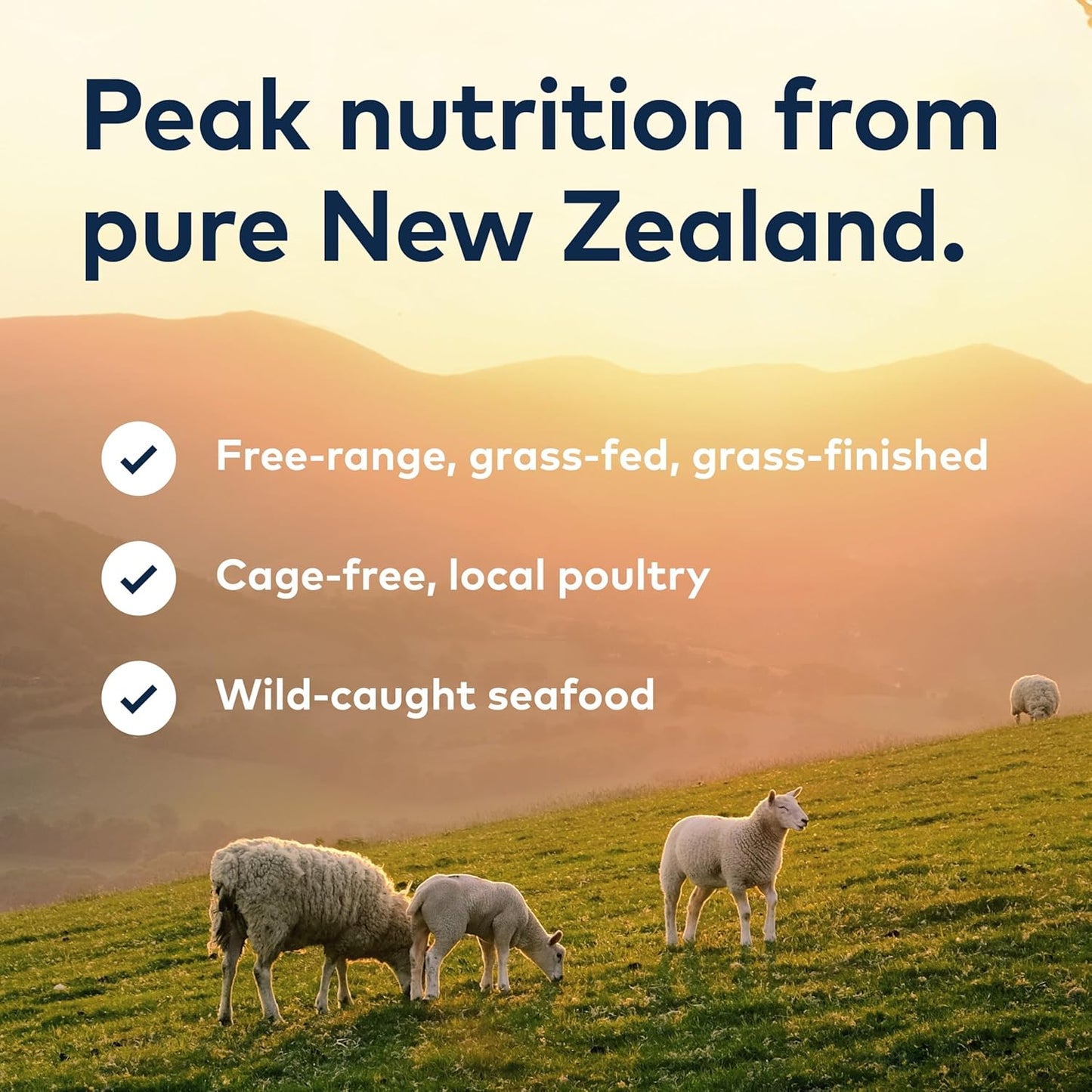 ZIWI Peak Air-Dried Dog Food Bundle - All Natural, High Protein, Grain Free & Limited Ingredient with Superfoods (Beef, Lamb & Chicken, 16oz Each)