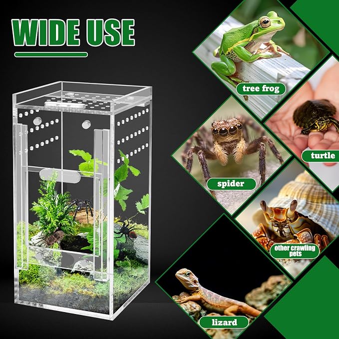 Mini Spider Enclosure, Windspeed 3x3x6’’ Acrylic Terrarium with Ventilation Jumping Spider Enclosure Cage Portable Micro Habitat Terrarium for Tarantula Lizards Gecko with Tongs, Dropper