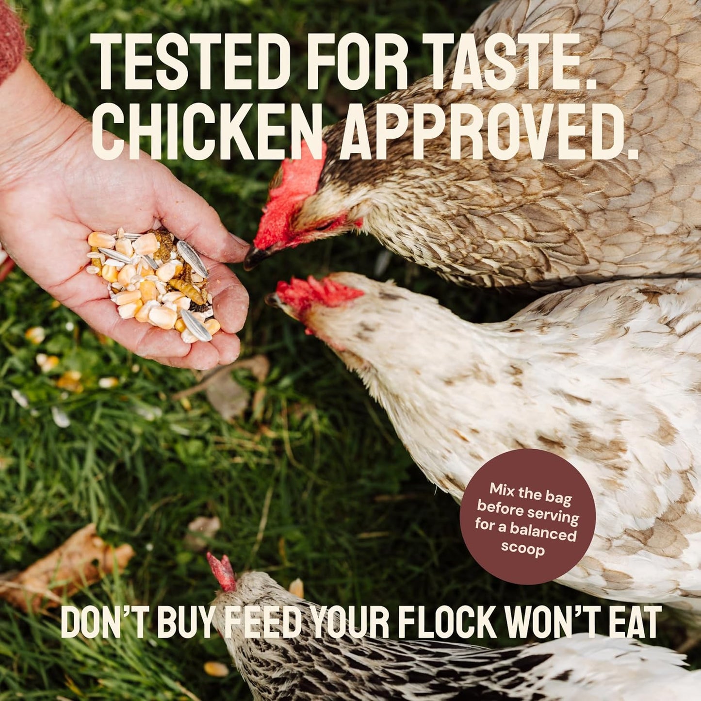PTCOM Hatortempt 5lb Organic Chicken Feed for Laying Hens - 3 Grain Essential Blend - 5% Calcium with Oyster Shell for Chickens - Grit for Digestion - Chicken Food - Healthier Hens for Healthier Eggs