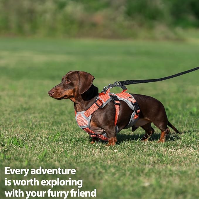 Escape Proof Dog Harness, Dachshund Harness, Reflective Dog Harness with Handle, Durable,Adjustable Vest for Small Medium Large Dogs Walking, Training, and Running Gear (Orange,S)