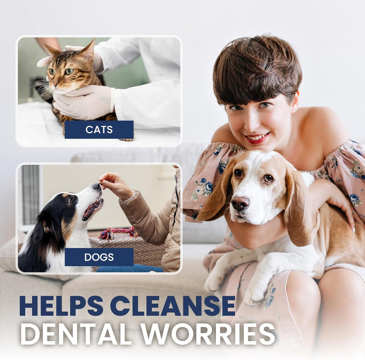 Rad Health Dog Dental Wipes - 100ct Pet Dental Finger Wipes, Easy No-Brush Teeth Cleaning, Removes Plaque & Tartar, Boosts Oral Hygiene, Freshens Breath, Gentle on Mouth, Strong on Build-Up