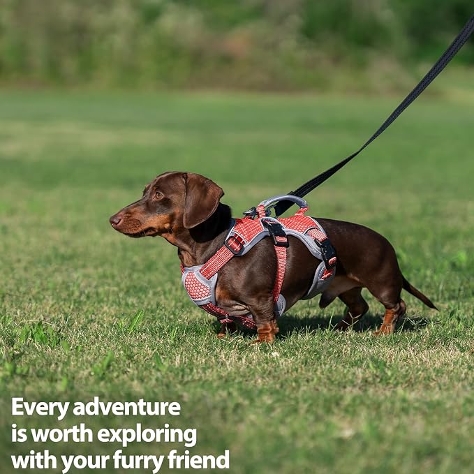 Escape Proof Dog Harness, Dachshund Harness, Reflective Dog Harness with Handle, Durable,Adjustable Vest for Small Medium Large Dogs Walking, Training, and Running Gear (Red,S)
