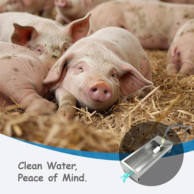 Automatic Livestock Waterer Drinking Trough Large Dog Water Bowl Dispenser 3 Gallon Stainless Steel with Float Valve for Cattle Chicken Goat Horse Pigs Poultry Outdoor Animals