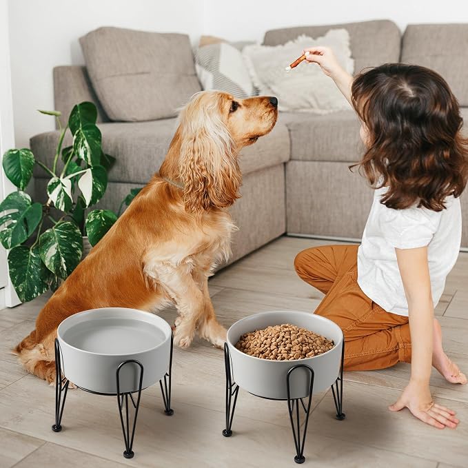 Elevated Dog Bowls, Ceramic Raised Dog Bowl Set with Anti-Slip and Non-Tip Metal Stand, 2 Pack Pet Food and Water Feeding Bowls for Small and Medium Dogs (Gray,7.6 Cups)