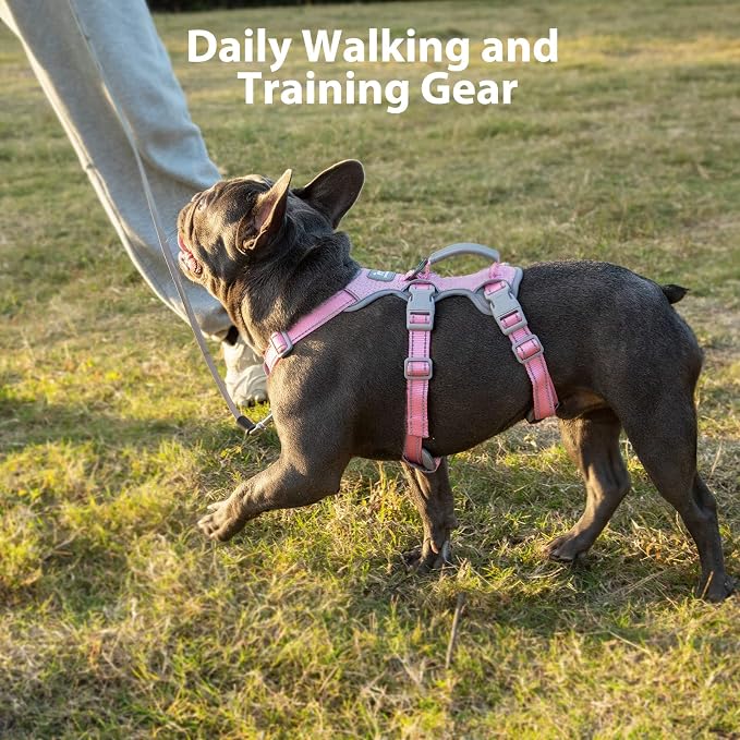 Escape Proof Dog Harness, Escape Artist Harness, Fully Reflective Vest with Padded Handle, Breathable,Durable, Adjustable Vest for Medium Dogs Walking, Training, and Running Gear (Pink, XS