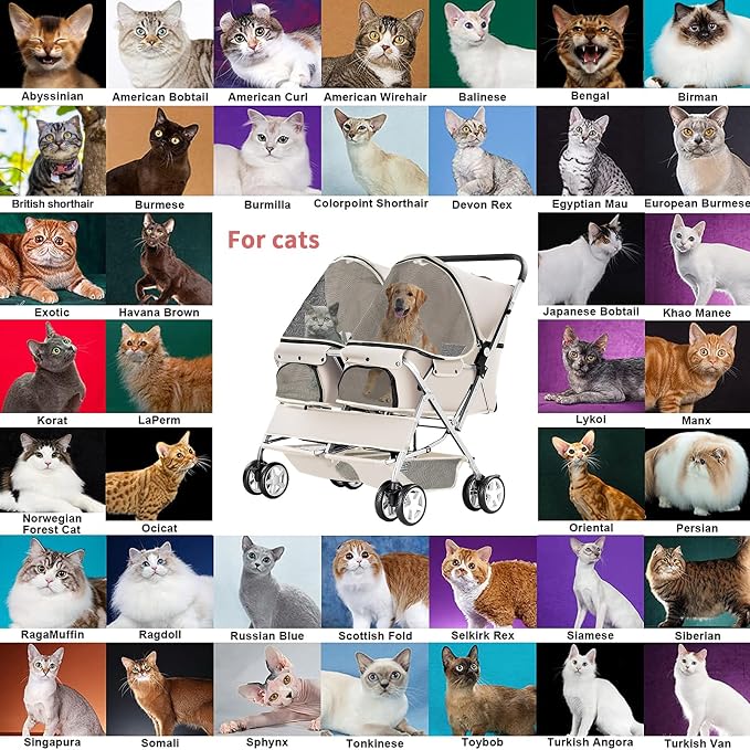 Double Pet Stroller for 2 Dogs & Cats, Side-by-Side, Gray | Foldable Two-Seater with Separate Cabins, 44 lb Capacity, Dual Baskets and Safety Tethers for Walks, Travel and Vet Visits