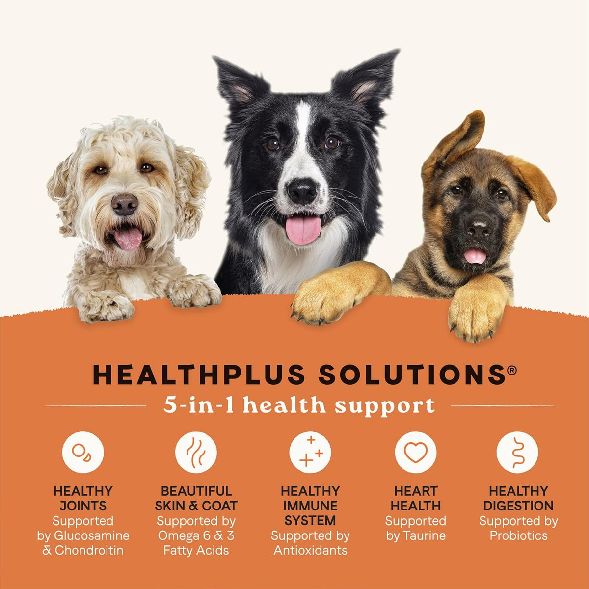 Canidae All Life Stages Real Chicken & Ancient Grains Recipe – High Protein Premium Dry Dog Food for All Ages, Breeds, and Sizes– 40 lbs.